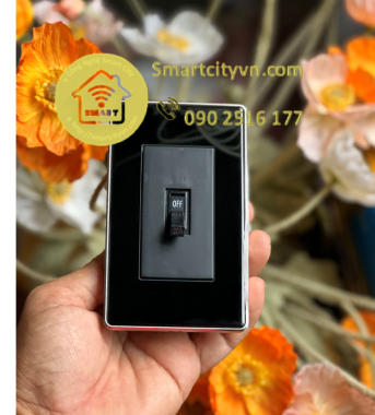 CB Cóc Panasonic 20A mặt kính cường lực US