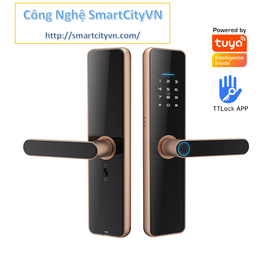 Khóa cửa thông minh vân tay
